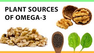 Plant Sources of Omega3 [upl. by Kliman]