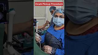 Ovum Pickup Procedure fertility ivf ivfprocess icsi pregnant ytshorts ivfbabies baby shorts [upl. by Burnett]