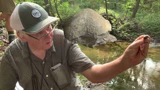 Fossil Collecting with Carl Brett Brachiopods [upl. by Eben]