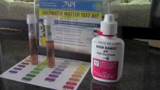 How to Test PH in a Saltwater Aquarium [upl. by Nitsrek497]