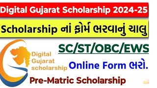 Digital Gujrat Scholarship 202425  Online Form Fill Up Date 2024 Prematric Scholarship SCSTOBC [upl. by Eiddet]