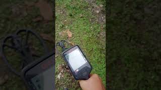 Quest q30 metal detector [upl. by Salaidh]