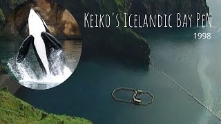 Keikos Legacy Episode 3  Icelandic Bay Pen [upl. by Mae]