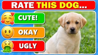 Dog Tier List 🐶 Rate the TOP 51 DOG BREEDS 🐕🐾 [upl. by Oinota]