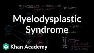 Myelodysplastic syndrome  Hematologic System Diseases  NCLEXRN  Khan Academy [upl. by Beora735]