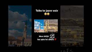 Taiba ke jaane wale shortvideo shorts short ytshorts youtubeshorts islamicsong islam [upl. by Aiouqahs]