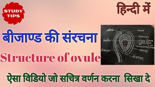 बीजाण्ड की संरचना। Structure of Ovule [upl. by Nolrah]