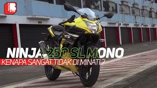 Ninja 250 SL Mono  Si Gagal Dari Kawasaki [upl. by Doralynne]