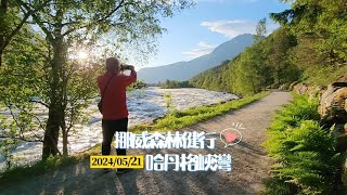 北歐四國挪威森林健行篇Hardangerfjord Hike in Norway（2024052122） [upl. by Chapnick131]