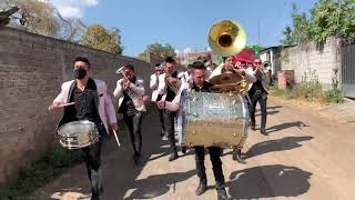 Son la boda del Huitlacoche con banda Monarca [upl. by Neetsirhc]