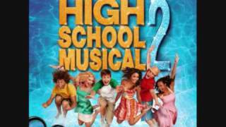 High School Musical 2  Humuhumunukunukuapuaa  Lyrics [upl. by Jakob151]