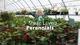 Five Shade Loving Perennials [upl. by Hulbig231]