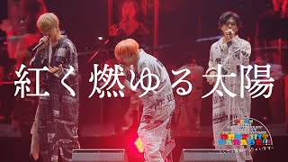 NEWS – 紅く燃ゆる太陽 from NEWS 20th Anniversary LIVE 2023 in TOKYO DOME BEST HIT PARADE [upl. by Ragucci]