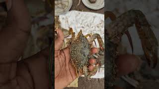 పీతలు amp ఎండ్రకాయలు వాటి గుడ్లు amp Crabs 🦀🦀🦀 kg 250 [upl. by Eniliuqcaj817]