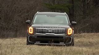 2020 Kia Telluride  The HyundaiKia Secret  Steve Hammes [upl. by Harrietta273]