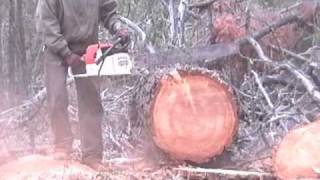 Testing a Stihl 084 AVEQ [upl. by Claretta]