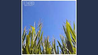 Tethered [upl. by Hsirahc]