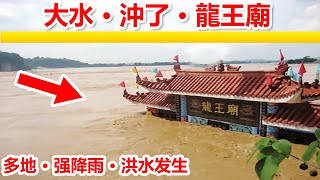 大水沖了龍王廟🔴，山東村民冒雨搶收玉米，河南濮陽狂風暴雨夾著冰雹，🔴甘肅平涼達溪河水位持續上漲，陝西暴雨致華山夜晚水流成河，四川廣元山洪暴發。 [upl. by Eicram]