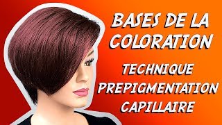 PREPIGMENTATION AVANT COLORATION DES CHEVEUX ✿ BASES DE LA COLORATION [upl. by Gaby]