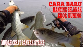 Ini Cara Baru Mancing Belanak Ekor Kuning  Mudah Cepat Banyak Strike  Mullet Fishing [upl. by Hcardahs]