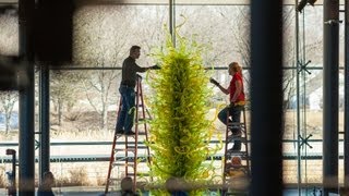 Chihuly Fern Green Tower Time Lapse [upl. by Jahncke]