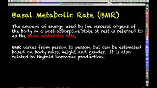 Human Physiology  32  Energy and Heat Balance [upl. by Arot]