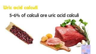 Types of Renal calculi and their characteristicsMedicine basics simplified [upl. by Annoynek830]