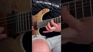 Architects  Doomsday Guitar cover guitar guitarcover metalcore architects ltdguitars [upl. by Xam142]