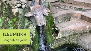 Gaumukh Songadh Gujarat  Gaumukh Waterfall Songadh  Dosvada Dam Waterfall [upl. by Pinelli]