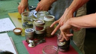 Canning Sardines at Home A Guide to Preserving the Seas Bounty [upl. by Yecniuq291]