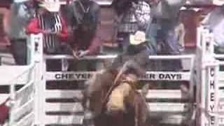 Horses Illegally Shocked at Cheyenne Rodeo [upl. by Netti]