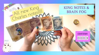 New King Notes and Brain Fog  Weekly Cash Stuff  UK Cash Stuffing  Budgeting  Debt Journey [upl. by Irme640]