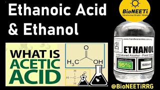 Esterification And Saponification Reactions Ethanol amp Ethanoic Acid CBSE NCERT [upl. by Sherburne]