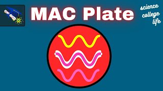 Macconkey Agar Test  MAC Plate Procedure Microbiology Lab [upl. by Reeve]