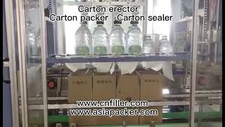 Carton erector Carton packer Carton sealer [upl. by Eimile]