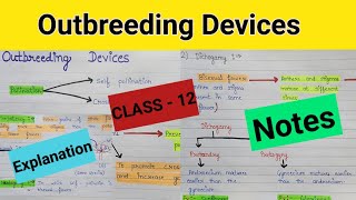 Outbreeding devices  Outbreeding devices in flowering plants  Outbreeding devices class 12 ncert [upl. by Ettezoj79]