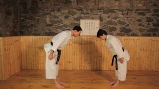 How to Do Block amp Counter Techniques  Karate Lessons [upl. by Rooney930]