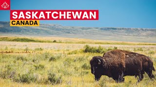 Canada Road Trip Best Things To Do In Saskatchewan [upl. by Esidarap470]