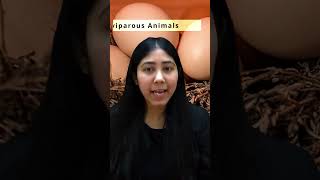 What are oviparous animals  Definition amp Examples  Biology  CBSE  Adhyayanta [upl. by Soinotna553]