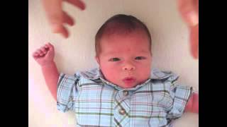 How to take a newborn babys passport photo at home [upl. by Dawna]