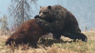 Cave Bear Vs Yak  Rare Animation in SLOW MOTION [upl. by Marutani]