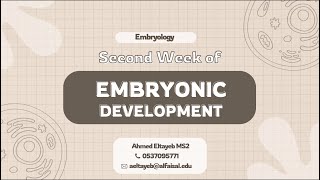 Embryology III 2nd week of development amp Extraembryonic Mesoderm  Ahmed Eltayeb  FND 111 [upl. by Jonna406]