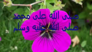 Noureddine Khourchid  صلى الله على محمد  نور الدين خورشيد Islamic arabic nasheed [upl. by Lister]