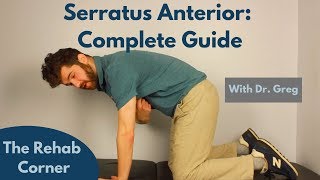 Serratus Anterior  A Complete Guide [upl. by Krid]