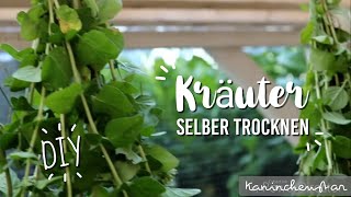 KRÄUTER 🌿🌻 für Kaninchen selber trocknen DIY  Kaninchenstar [upl. by Jamesy]