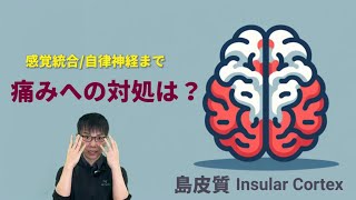 【☑自律神経障害 痛み 治療】島皮質 脳機能 内臓感覚Insula【第15回】臨床脳科学 リハビリ [upl. by Conall]