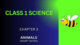 Grade 1 Animals Short Notes  Animals Ch 3 Class Notes  Grade 1 Science Important Notes Lesson 3 [upl. by Birecree]