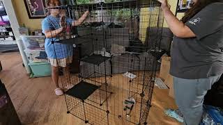 Indoor or Outdoor Cat Cage [upl. by Evans323]