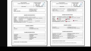 EL EXAMEN COPROLOGICO FUNCIONAL COMO ERRAMIENTA DIAGNOSTICA [upl. by Anaihs]