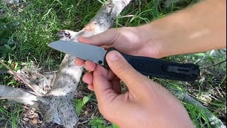 Benchmade Bailout Field Test Chopping Stabbing and Prying [upl. by Gies371]